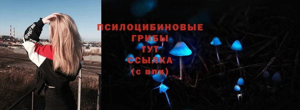 бошки Алексин