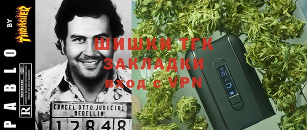 бошки Алексин